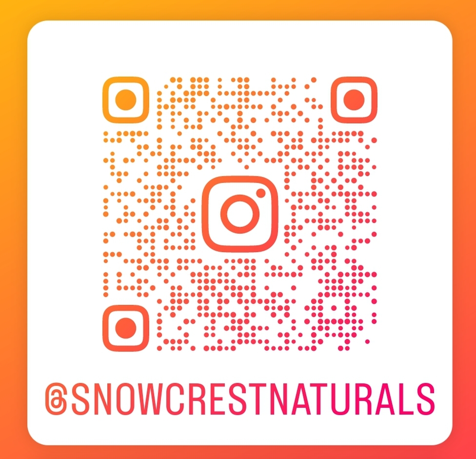 Follow us on Instagram